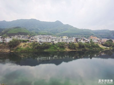 每日一拍