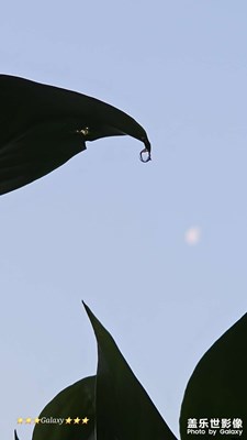 阳光雨露