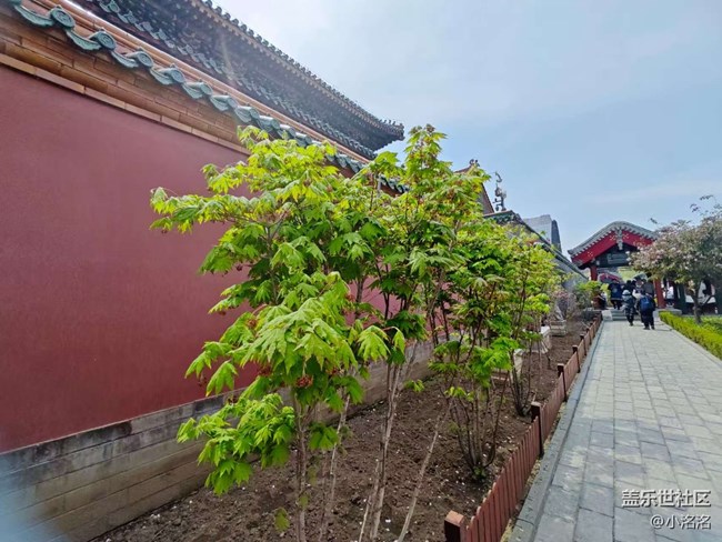 沈阳故宫行行摄摄活动回顾