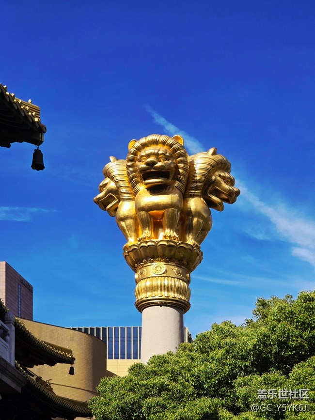 【静安寺citywalk线下摄影活动】+活动回顾