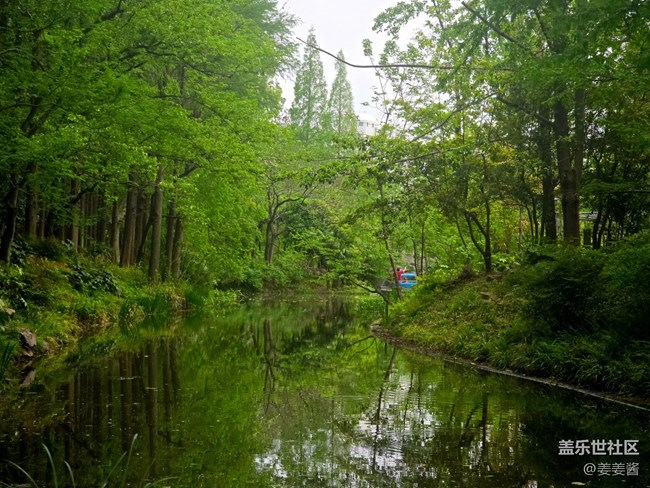 #拥抱大自然——路过的风景