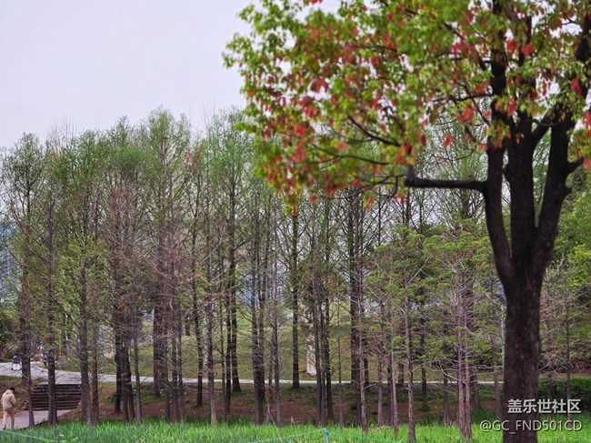 #拥抱大自然——抓住春天的尾巴