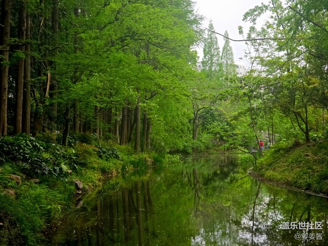 #拥抱大自然——路过的风景