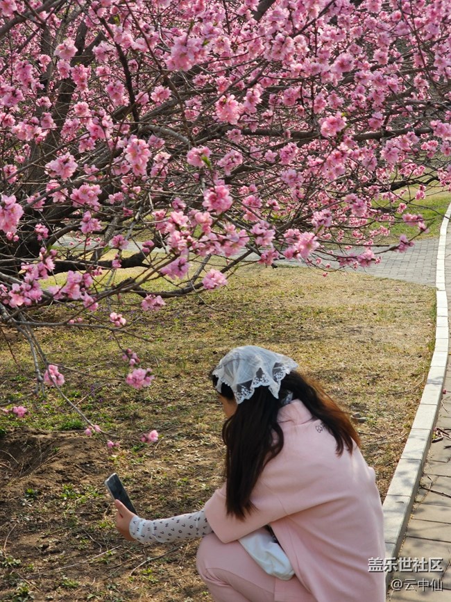 【拈花拾趣】赏花