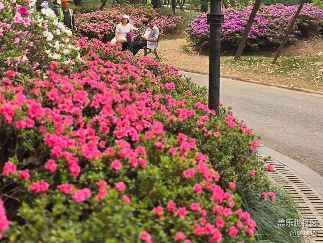 #拥抱大自然——路过的风景