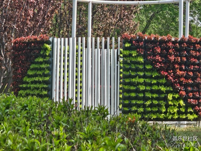 【拈花拾趣】有缘