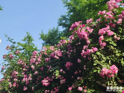 【市井长巷】+扫街随拍
