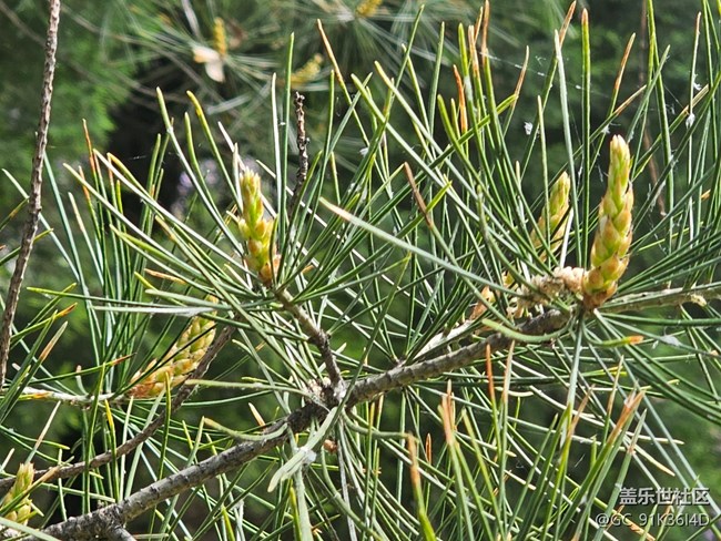 【拈花拾趣】有缘