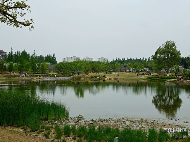 #拥抱大自然——路过的风景