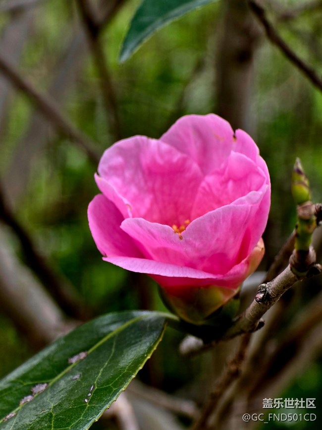 #拥抱大自然——抓住春天的尾巴