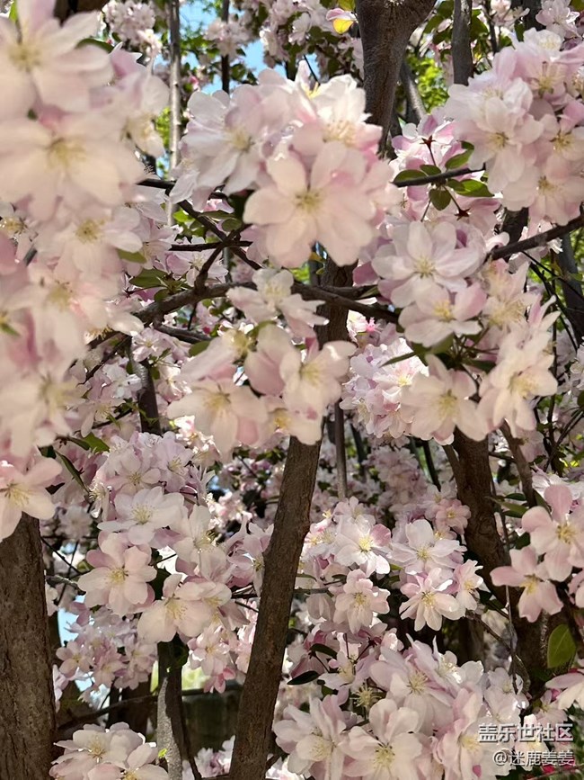 【春风得意时】踏春赏花，尽兴而归