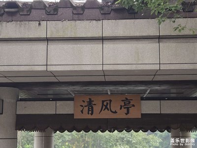 【市井长巷】+沿途风景
