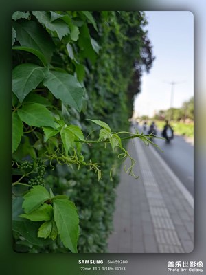 【快乐假日】+出行随拍