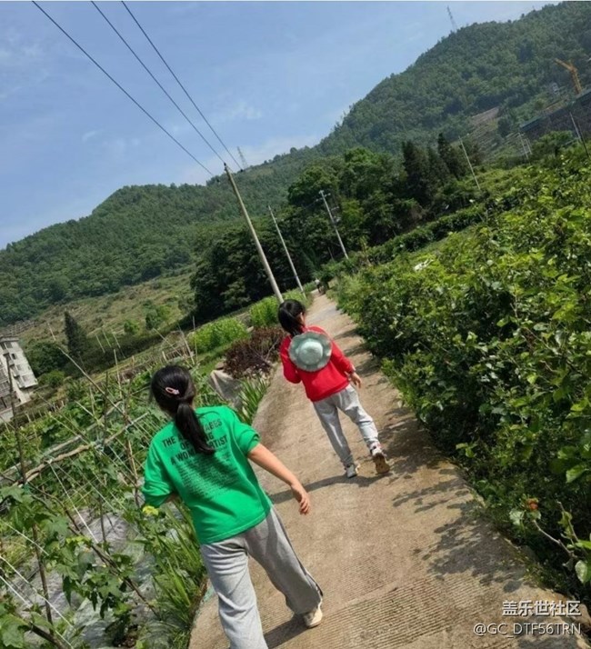 【夏日清凉】采摘
