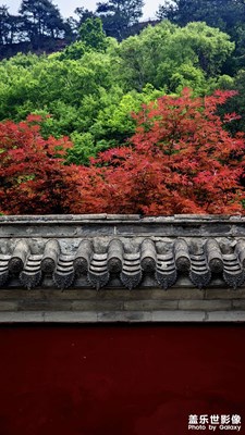 天水一日游