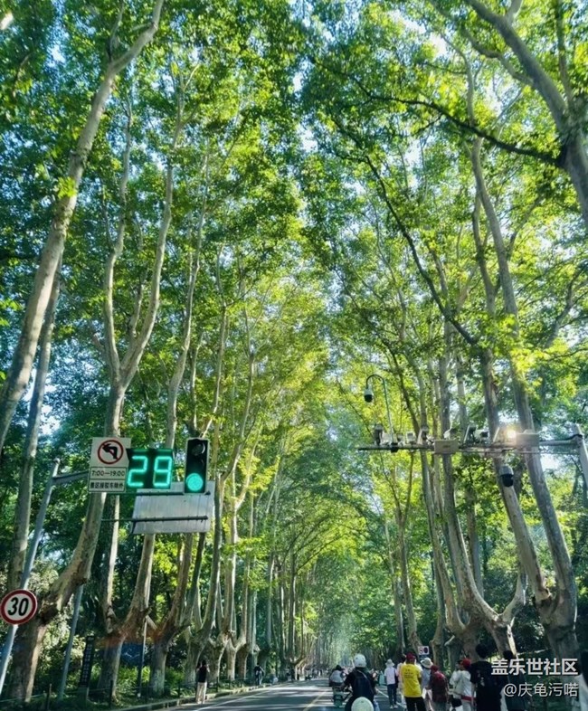 【带上折叠屏过五一】南京半日游