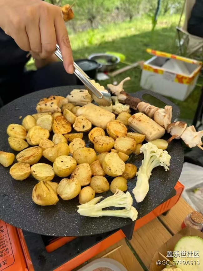 【带上折叠屏过五一】户外的一天