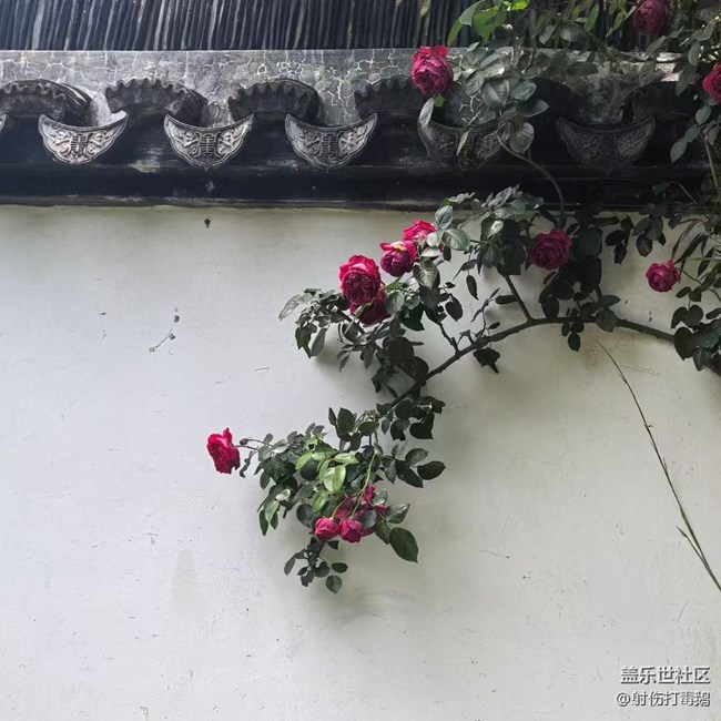 【五一出游】苏州游玩