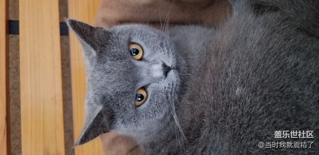 再看我就把你吃掉，还在看我~