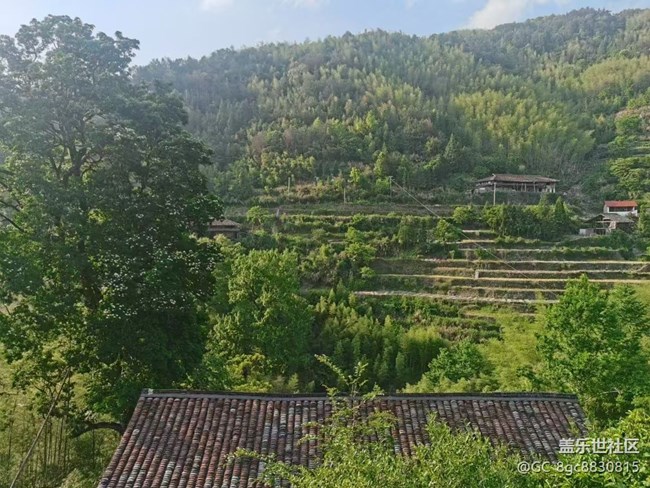 【带上折叠屏过五一】回乡