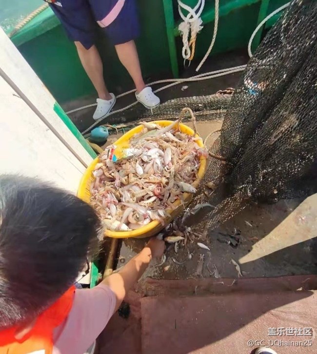 【夏日清凉】出海打鱼