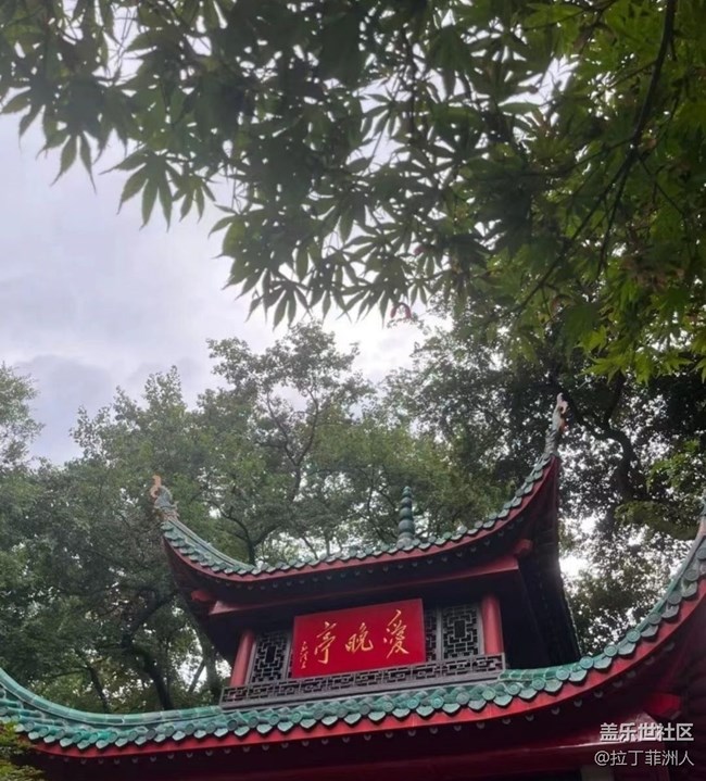 【夏日清凉】长沙闹市