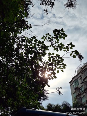 近日日常