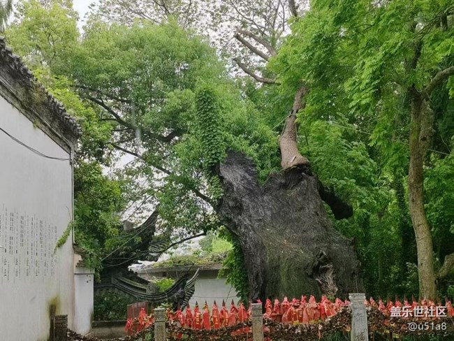 【五一出游】台州府