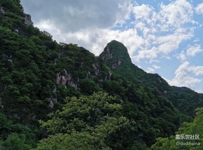 【夏日清凉】山顶美景