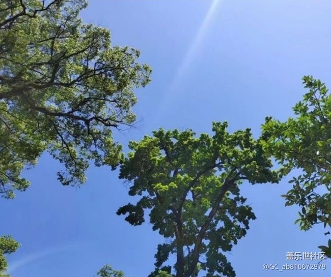 【五一出游】体验古韵