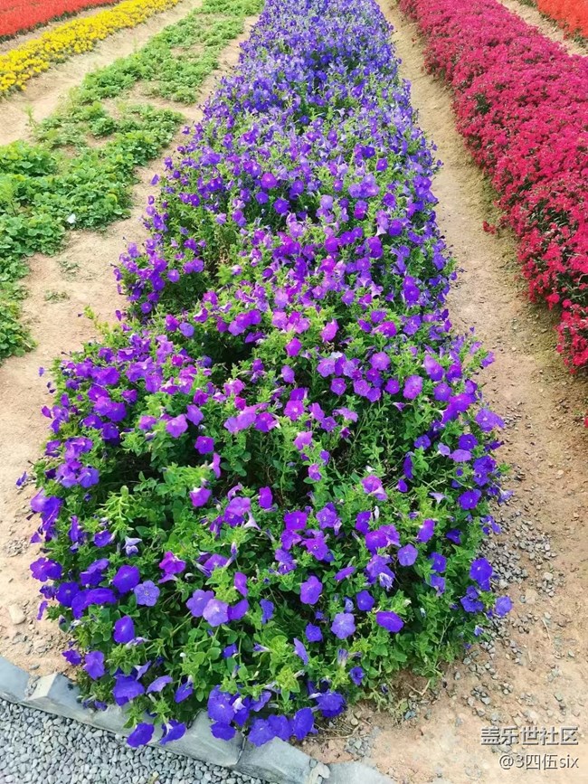 【五一出游】结束假期