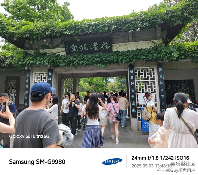 【五一出游】花港观鱼