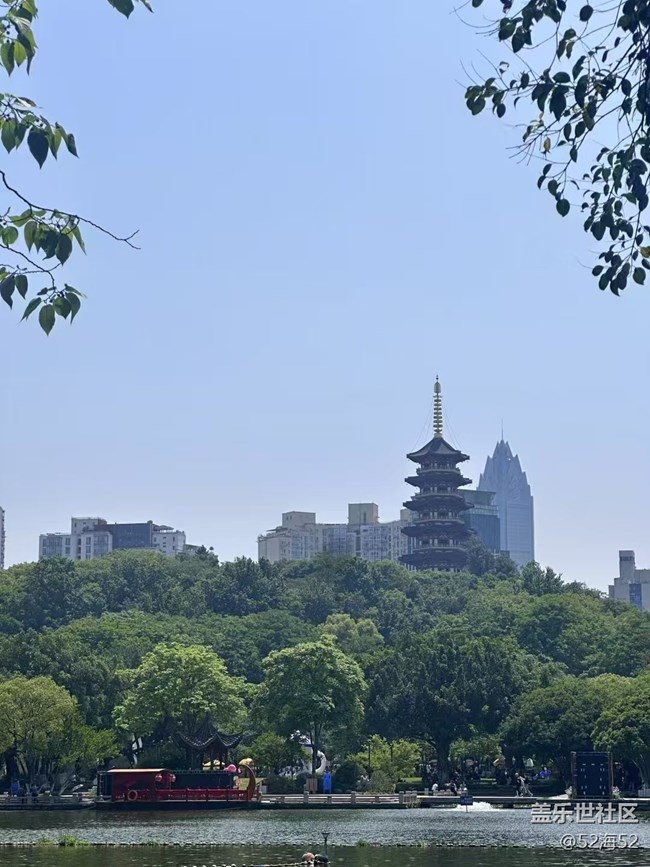 【带上折叠屏过五一】公园