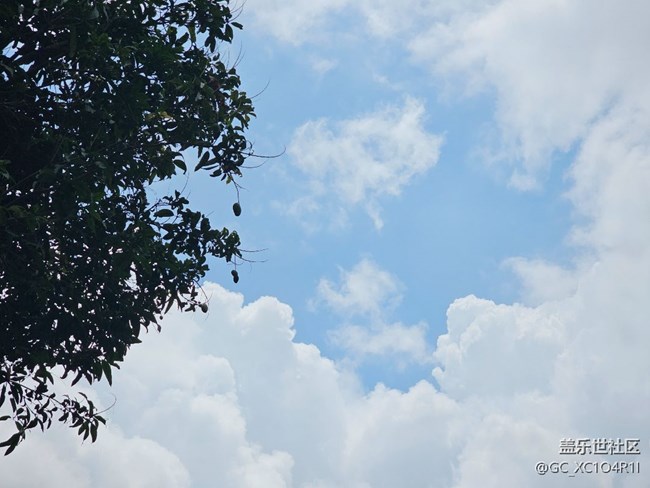 【带上折叠屏过五一】假期时光