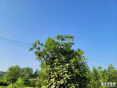 【快乐假日】回老家的快乐