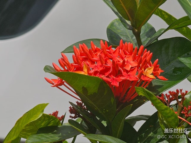 【带上折叠屏过五一】假期时光