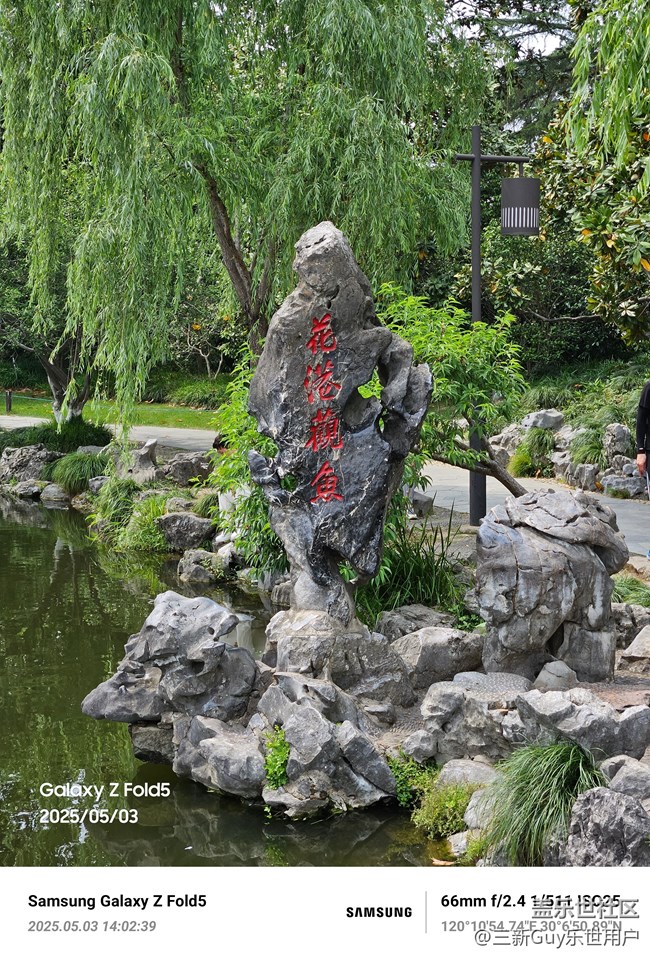【五一出游】花港观鱼