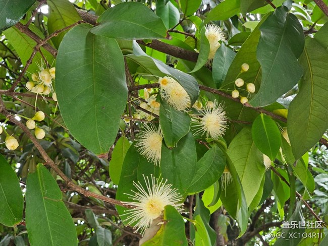 【带上折叠屏过五一】假期时光