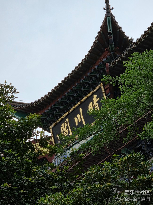 【晴川探影】 武汉星部落活动总结帖