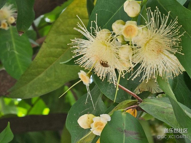 【带上折叠屏过五一】假期时光