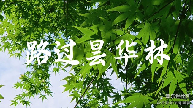 【昙华林光影捕手】 武汉星部落活动总结贴