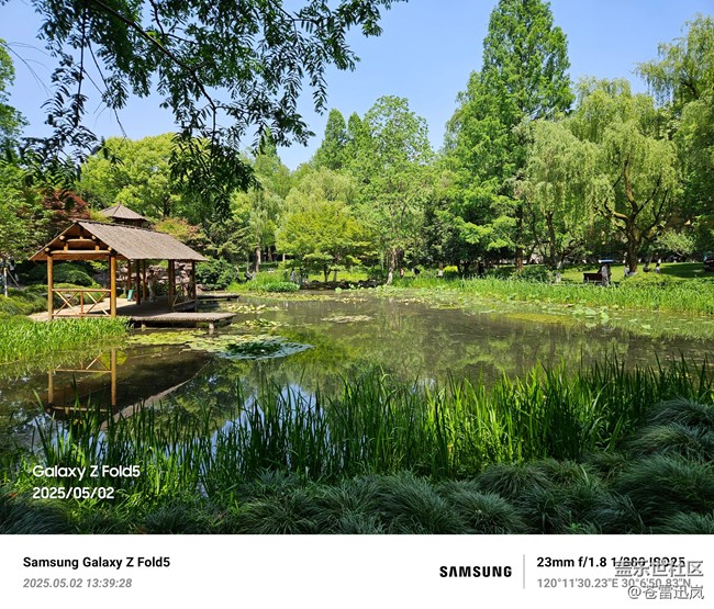 【带上折叠屏过五一】柳浪闻莺