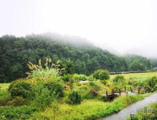 【夏日清凉】山清水秀