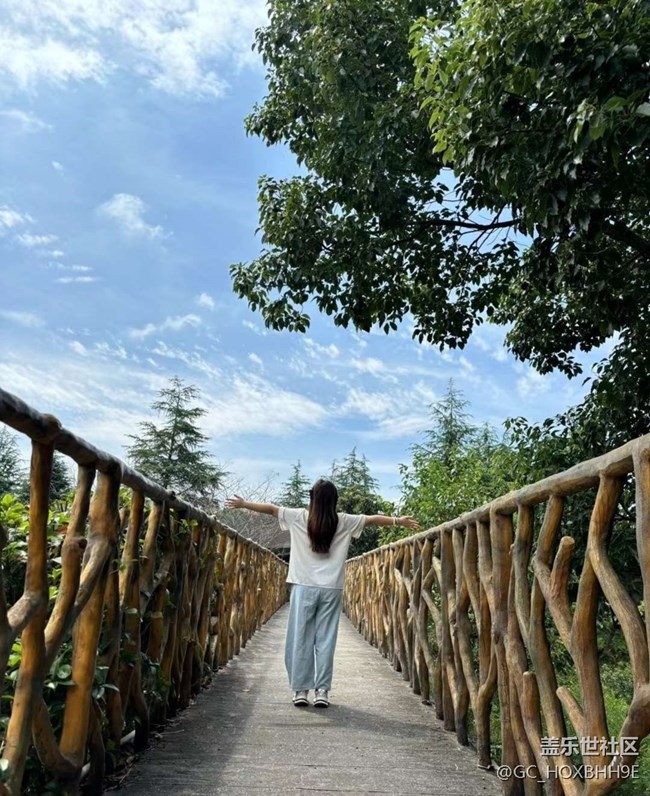 【夏日清凉】美景