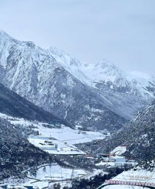 【小众秘境】鱼子西