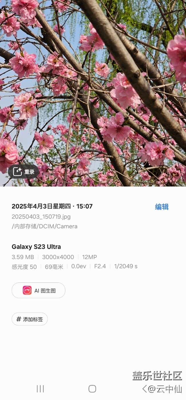 【四月照片核实】【拈花拾趣】柳前花