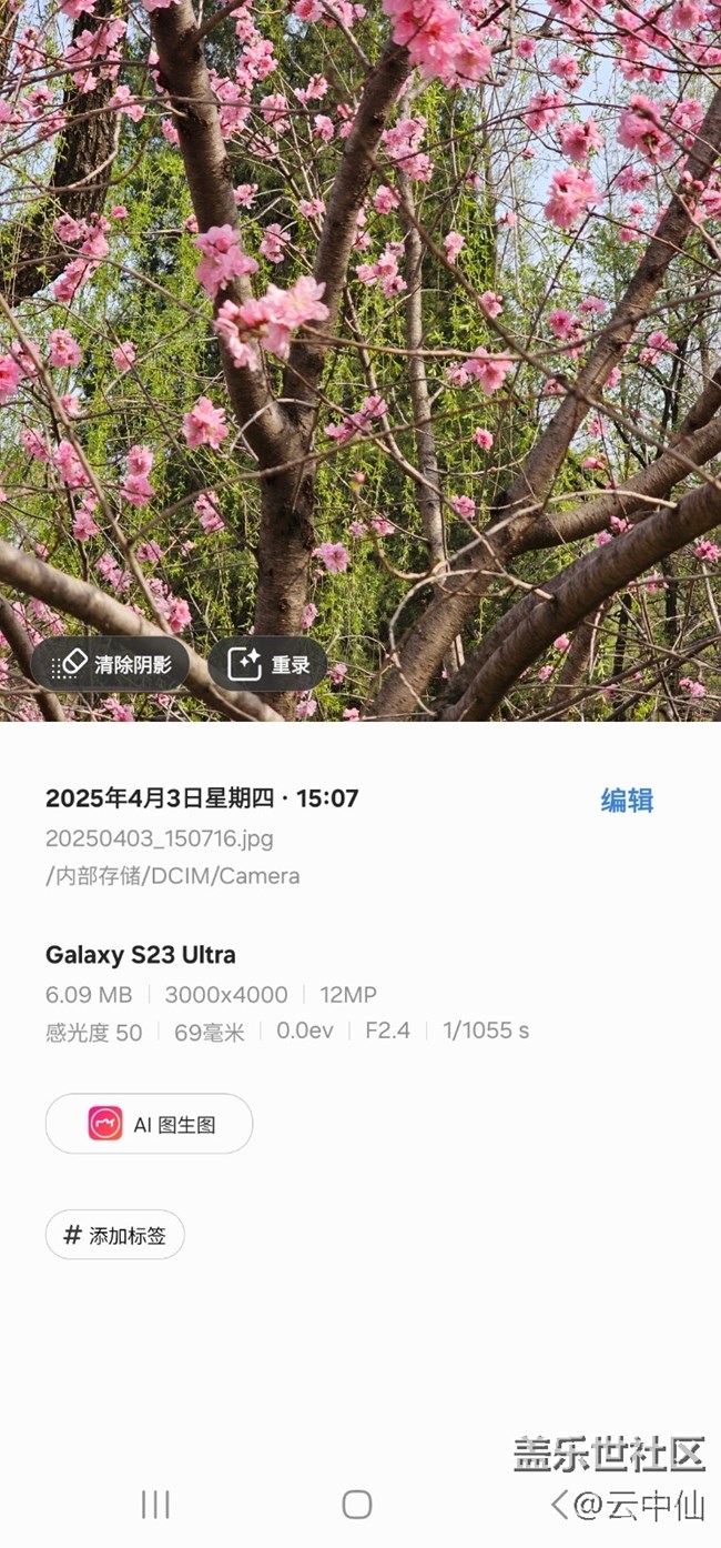 【四月照片核实】【拈花拾趣】柳前花