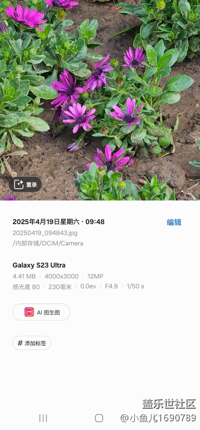 【四月照片核实】【拈花拾趣】花间