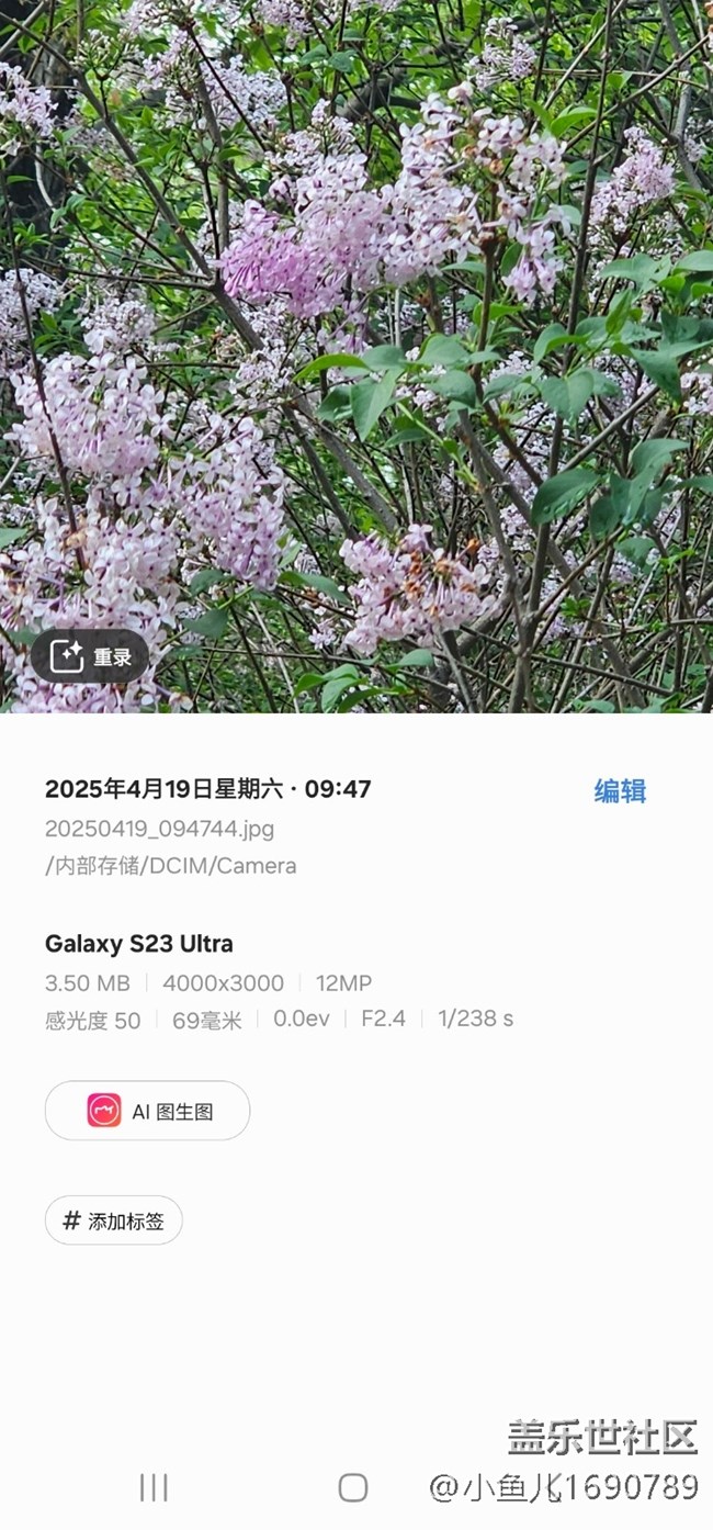 【四月照片核实】【拈花拾趣】花间
