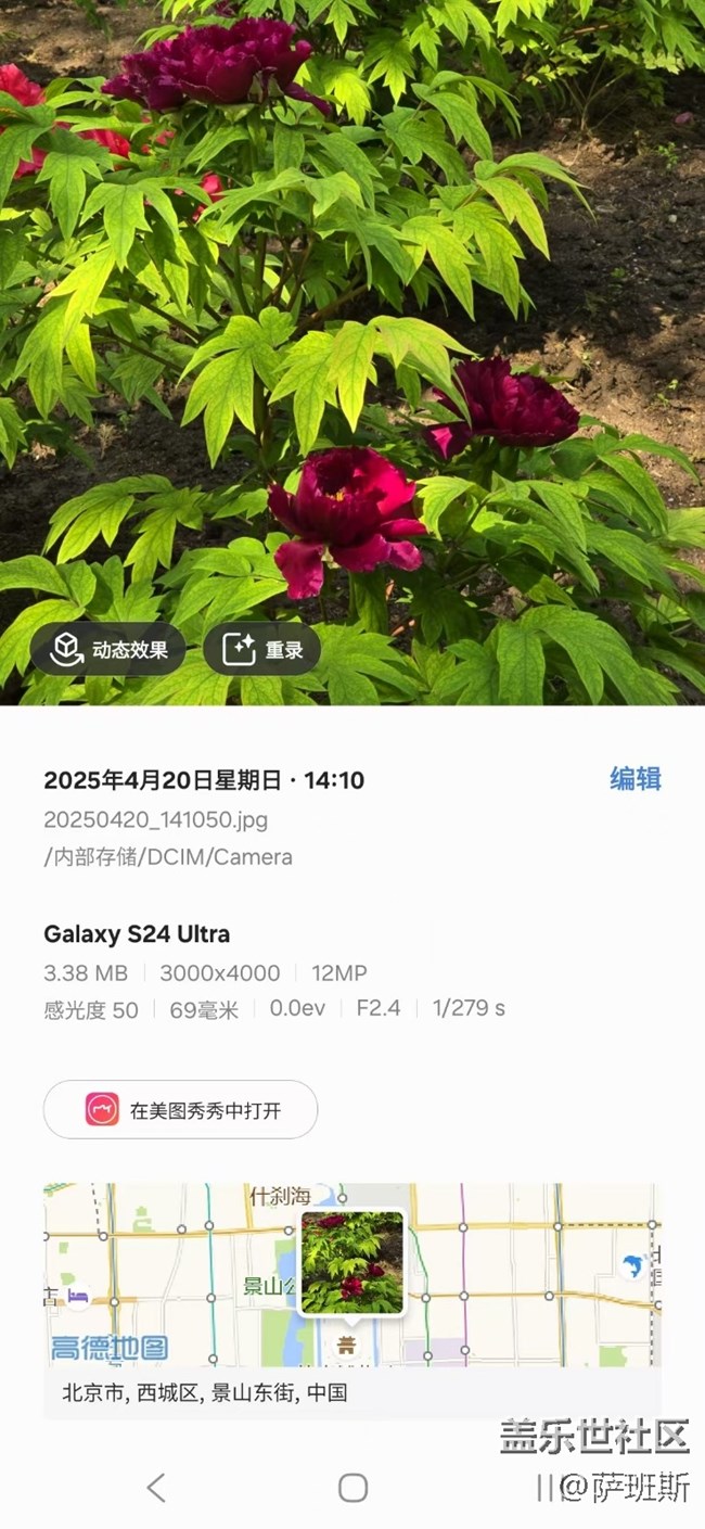 【四月照片核实】【拈花拾趣】稀有品质牡丹花赏